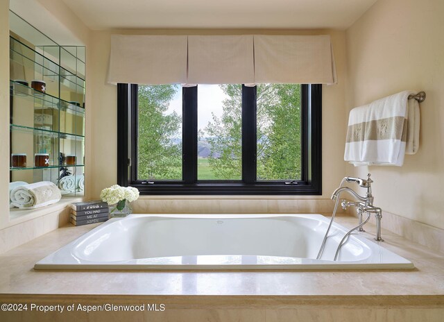 910 White Star Dr, Aspen, CO 81611 - photo 20