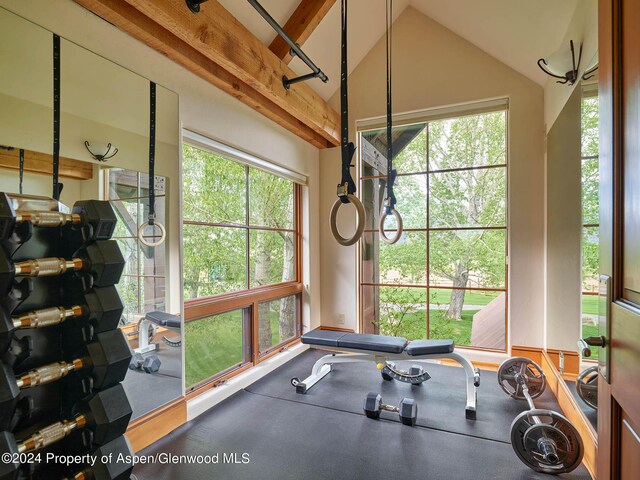 910 White Star Dr, Aspen, CO 81611 - photo 22