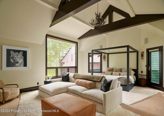 910 White Star Dr, Aspen, CO 81611 - photo 17