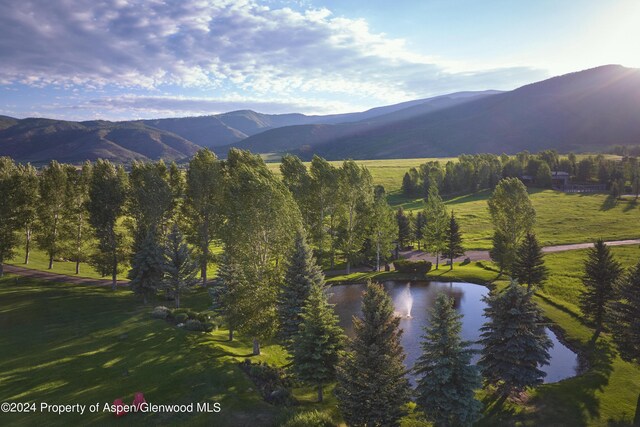 910 White Star Dr, Aspen, CO 81611 - photo 58