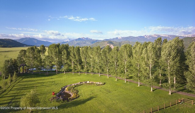 910 White Star Dr, Aspen, CO 81611 - photo 59