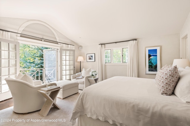 bedroom with lofted ceiling