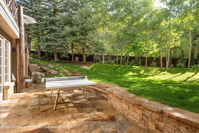 view of yard featuring a patio area