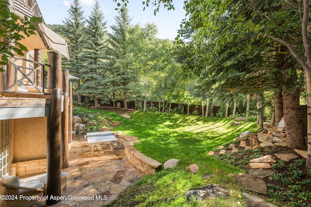 view of yard with a patio area