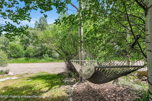 131 Aspen St, Redstone, CO 81623 - view of yard with a forest view