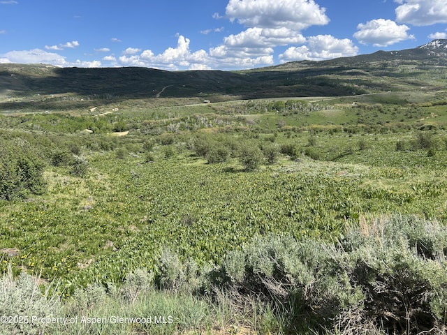 1445 Sprout Dr, Craig, CO 81625