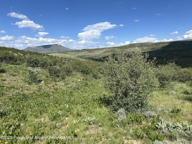 1445 Sprout Dr, Craig, CO 81625