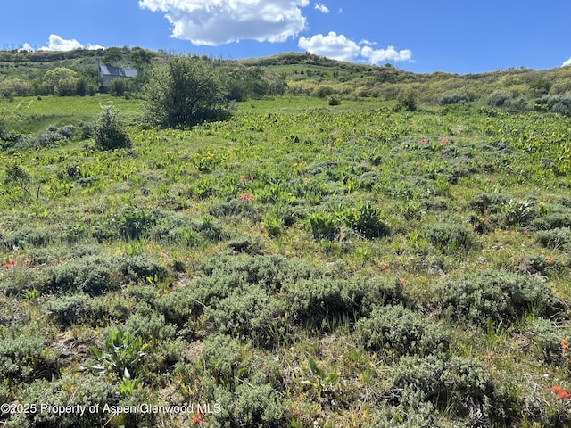 1445 Sprout Dr, Craig, CO 81625