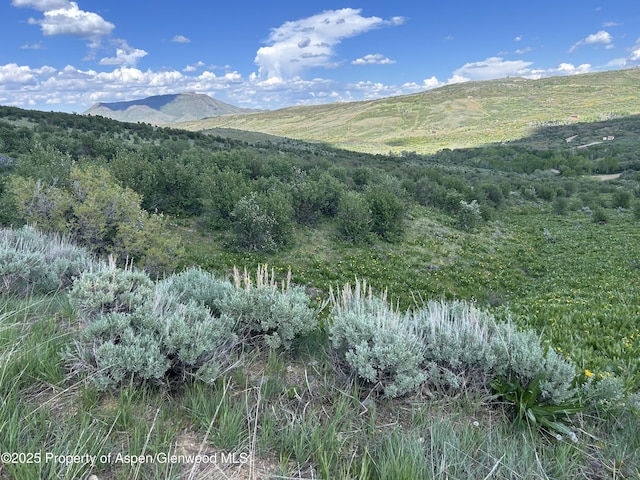 1445 Sprout Dr, Craig, CO 81625
