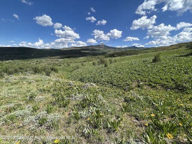 1445 Sprout Dr, Craig, CO 81625