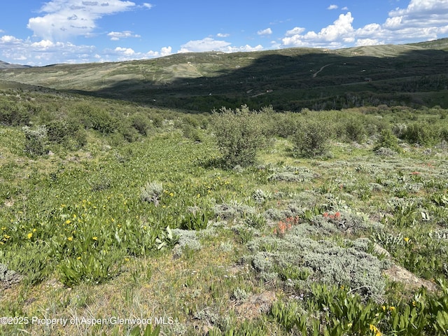 1445 Sprout Dr, Craig, CO 81625