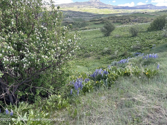 1445 Sprout Dr, Craig, CO 81625