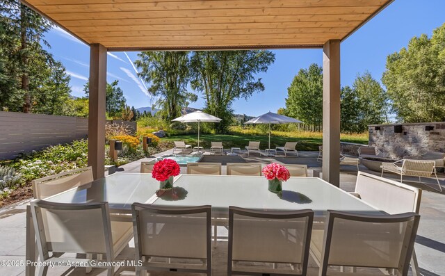 737 Cemetery Ln Unit S, Aspen, CO 81611 - photo 22