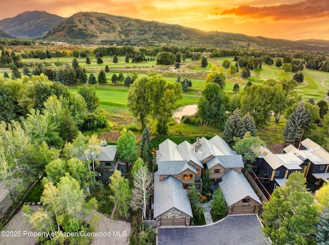 737 Cemetery Ln Unit S, Aspen, CO 81611 - photo 2