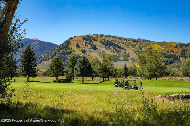 737 Cemetery Ln Unit S, Aspen, CO 81611 - photo 3