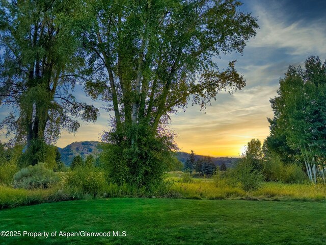 737 Cemetery Ln Unit S, Aspen, CO 81611 - photo 82