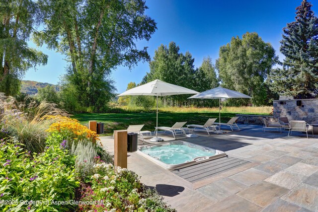 737 Cemetery Ln Unit S, Aspen, CO 81611 - photo 79