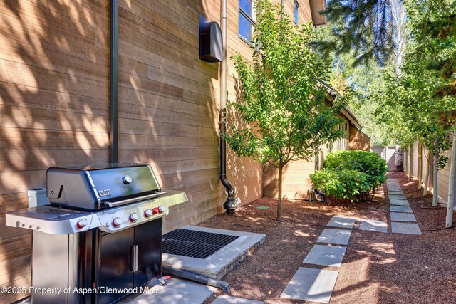 737 Cemetery Ln Unit S, Aspen, CO 81611 - photo 80