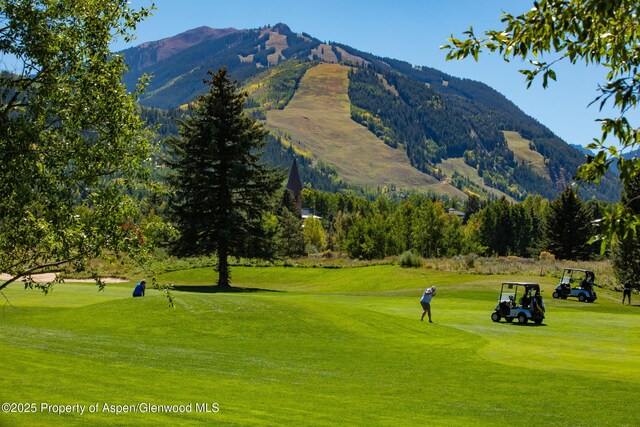 737 Cemetery Ln Unit S, Aspen, CO 81611 - photo 84