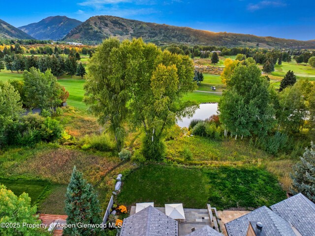 737 Cemetery Ln Unit S, Aspen, CO 81611 - photo 83