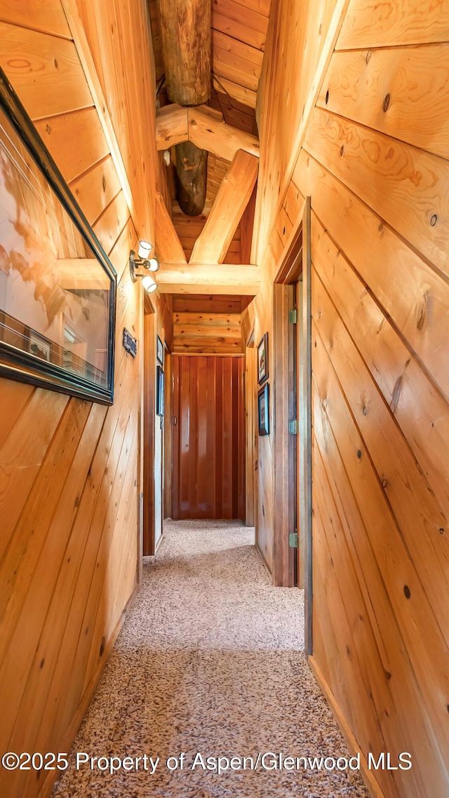 31 Ridge Dr, Craig, CO 81625 - hall with wood walls and carpet flooring