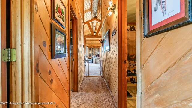 31 Ridge Dr, Craig, CO 81625 - hall with wooden walls and carpet floors