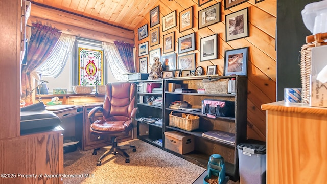 31 Ridge Dr, Craig, CO 81625 - office with log walls and wooden ceiling