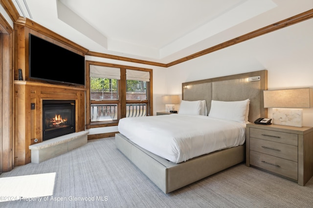 bedroom with a tray ceiling