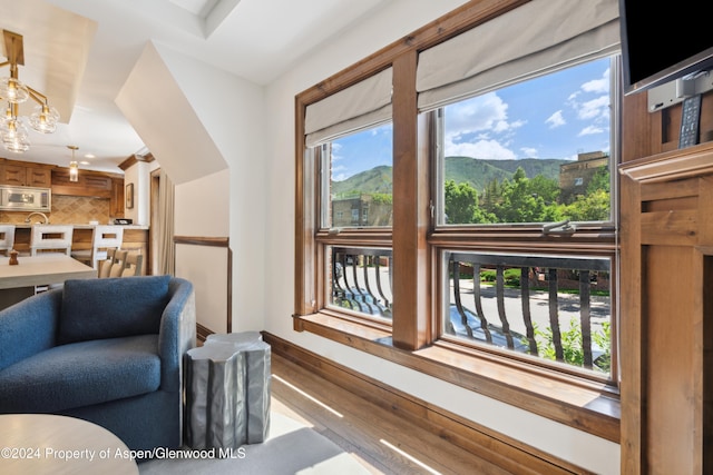 interior space featuring a mountain view and light hardwood / wood-style floors