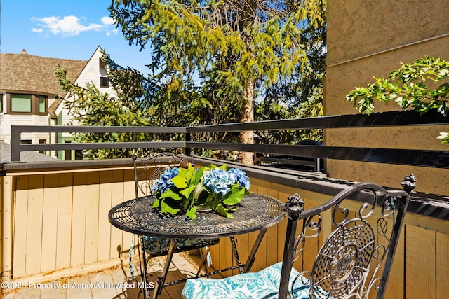 1024 E Cooper Ave Unit 8, Aspen, CO 81611 - view of balcony