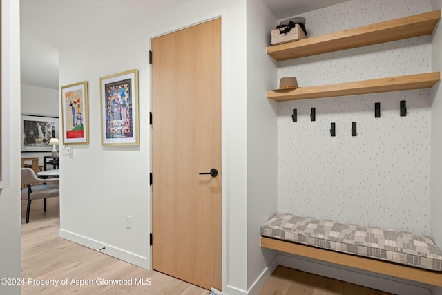 119 Wood Rd Unit 601, Snowmass Village, CO 81615 - mudroom featuring light wood-style flooring