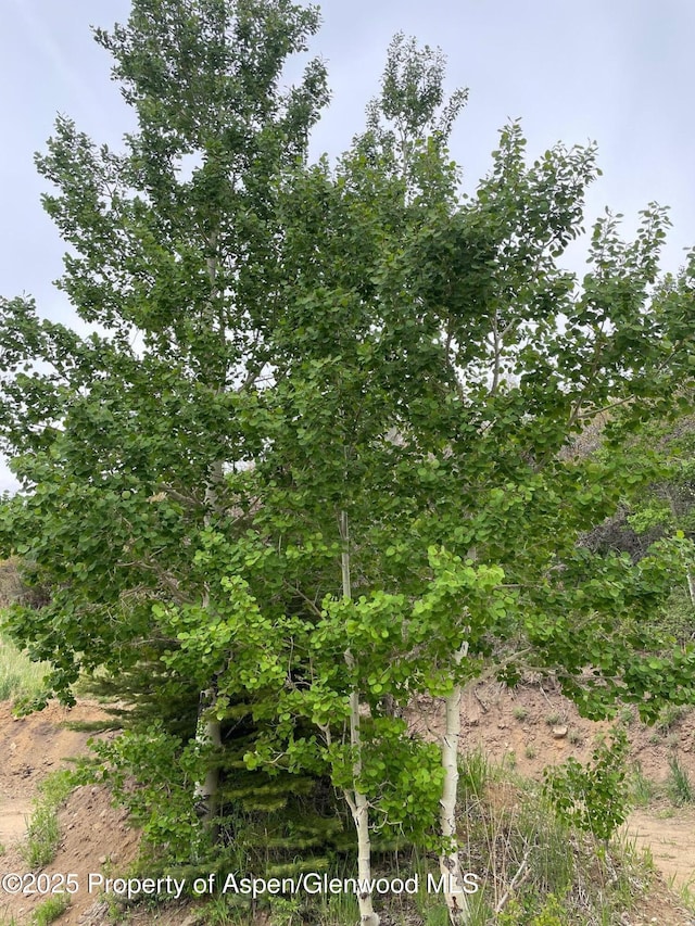 1901 Boulder Dr, Craig, CO 81625 - view of undeveloped land