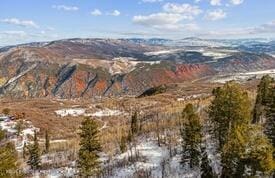 LOT4 Bear Ln, Glenwood Springs CO, 81601 land for sale