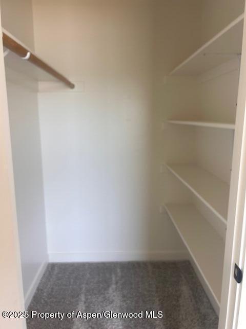 326 W 30th St, Rifle, CO 81650 - spacious closet with carpet flooring