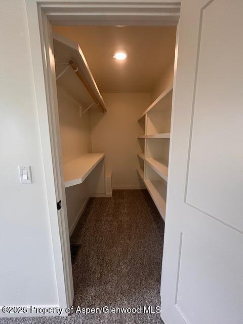326 W 30th St, Rifle, CO 81650 - spacious closet with dark carpet
