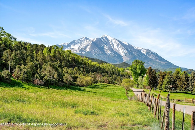 1634 Prince Creek Rd, Carbondale, CO 81623 - photo 3