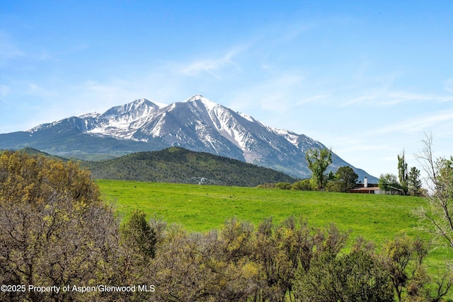 1634 Prince Creek Rd, Carbondale, CO 81623 - photo 11
