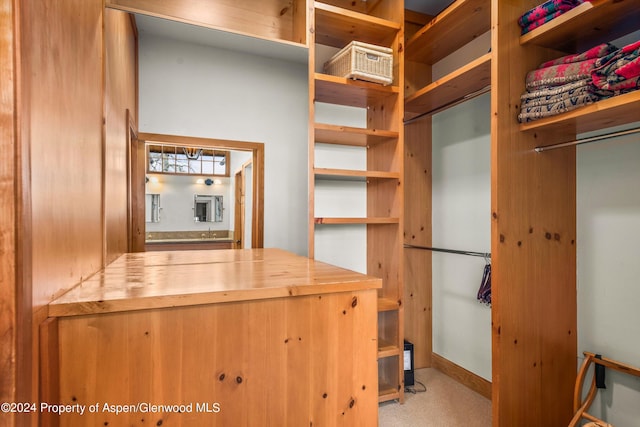 spacious closet featuring light carpet