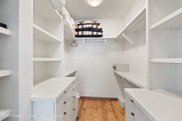 spacious closet with light wood-type flooring