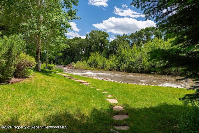 370 Gerbaz Way, Woody Creek, CO 81656 - photo 67