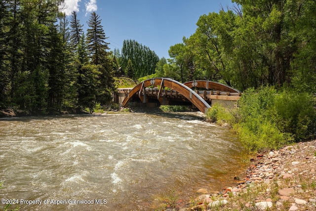 370 Gerbaz Way, Woody Creek, CO 81656 - photo 74