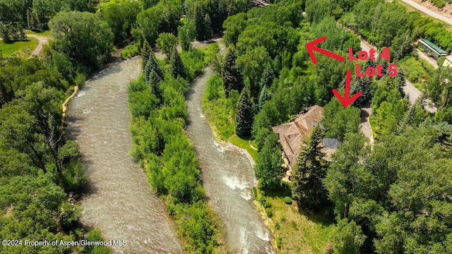 370 Gerbaz Way, Woody Creek, CO 81656 - photo 75