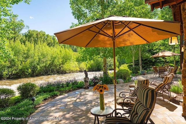 370 Gerbaz Way, Woody Creek, CO 81656 - photo 56