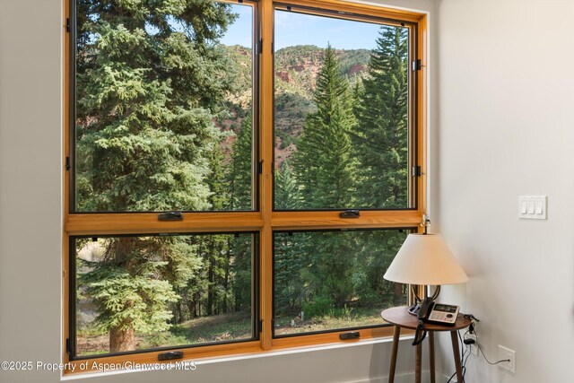 768 Kings Lake Rd, Basalt, CO 81621 - detailed view