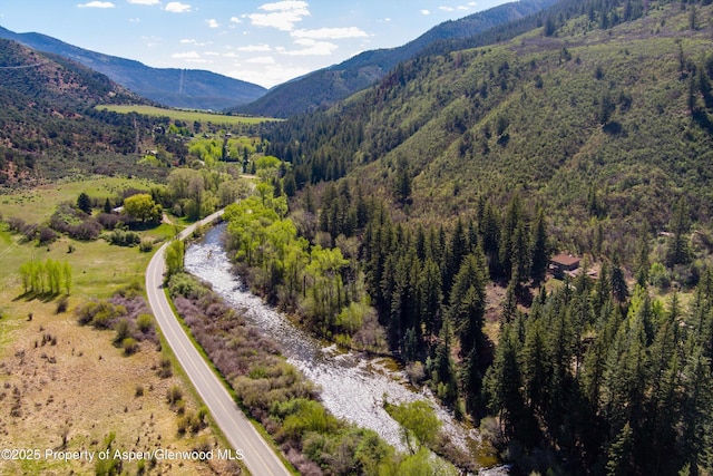 768 Kings Lake Rd, Basalt, CO 81621 - view of mountain backdrop featuring a forest