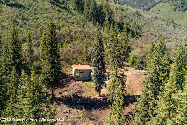 768 Kings Lake Rd, Basalt, CO 81621 - view of subject property with a heavily wooded area