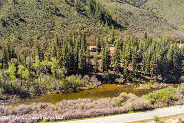 768 Kings Lake Rd, Basalt, CO 81621 - drone / aerial view of a heavily wooded area