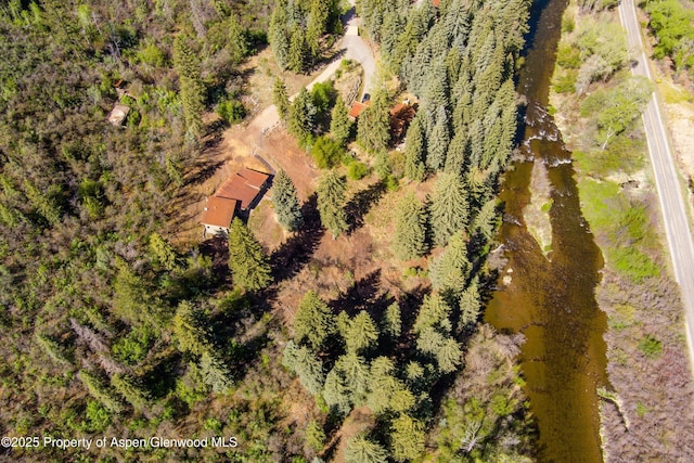 768 Kings Lake Rd, Basalt, CO 81621 - bird's eye view