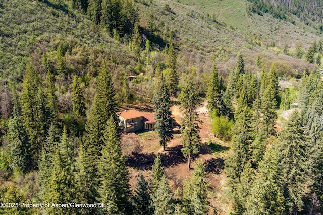 768 Kings Lake Rd, Basalt, CO 81621 - aerial view of property and surrounding area with a heavily wooded area