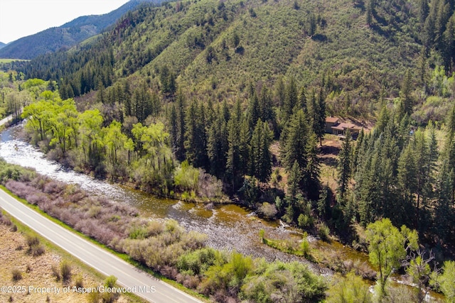 768 Kings Lake Rd, Basalt, CO 81621 - view of mountain backdrop featuring a forest
